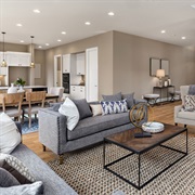 Open Floor Plan (Kitchen, Dining, Living)