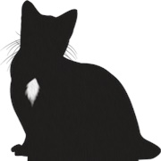 Ravenpaw