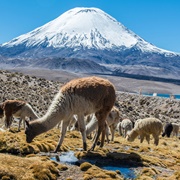 Lauca Biosphere Reserve, Chile