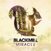 Miracle (Blackmill, 2011)