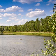 Oberlausitzer Heide- Und Teichlandschaft, Germany
