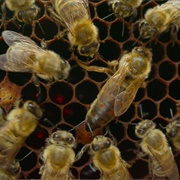 S2.E2: Following the Sun