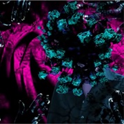 Natsu to Rouka to Hanabatake