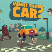 What the Car?