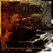 Strange Rumours... Distant Tremors - Kromlek (2007)