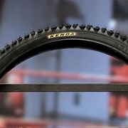 S31.E5: Mountain Bike Tires; Leaf and Debris Vacuums; Canned Meat