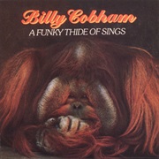 Billy Cobham - Some Skunk Funk