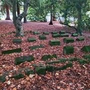 Conyngham Hall Pet Cemetery