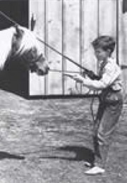 Jody Tiflin (John Steinbeck)