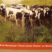 Rotterdam, Netherlands