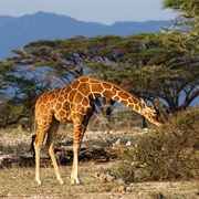 Queen Elizabeth National Park, Uganda