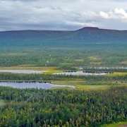 Tzentralnosibirskii Biosphere Reserve, Russia
