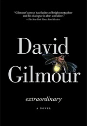 Extraordinary (David Gilmour)