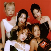 Newtopia - Loossemble