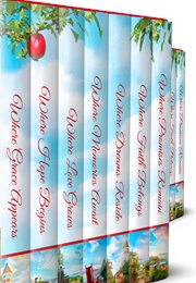 The Orchard House Bed and Breakfast Series (Heidi Chiavaroli)