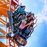 Dare Devil Dive (Six Flags Over Georgia, USA)