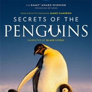 Secrets of the Penguins