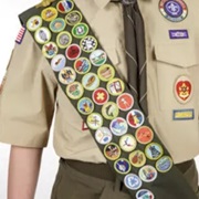 Merit Badges