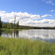 Tok River State Recreation Site