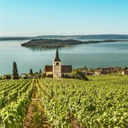 Sankt Petersinsel, Switzerland