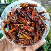 Fried Grasshoppers