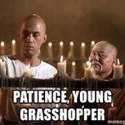 Grasshopper - Kung Fu