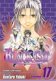 Black Cat Vol. 17 (Kentaro Yabuki)