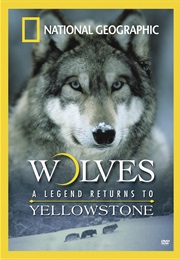 Wolves: A Legend Returns to Yellowstone (2000)