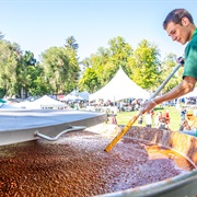 National Lentil Festival, Pullman, WA in August