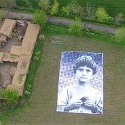 Not a Bug Splat (FFR)