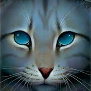 Jayfeather