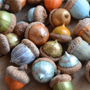 Collect and Paint Acorns
