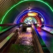 Brooklyn Children's Museum