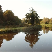Lagan Towpath