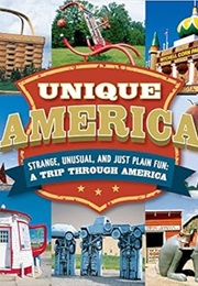 Unique America - Strange, Unusual, and Just Plain Fun: A Trip Through America (Publications International Ltd.)