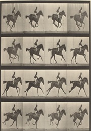 Horse in Motion: Four Hoofs off the Ground (1879) Not (1890)