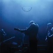 Black Oak - Slaughter Beach, Dog