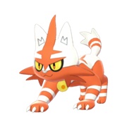 Torracat