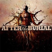 Rareform - After the Burial (2008)