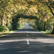 Deutsche Alleenstraße, Rügen