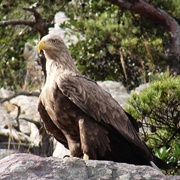 Shinan Dadohae Biosphere Reserve, South Korea