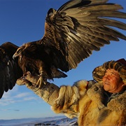 5. Mountains: Life in Thin Air