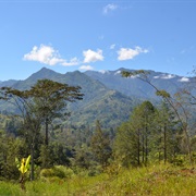 New Guinea Highlands