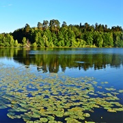 Great Volzhsko Kamsky Biosphere Reserve, Russia