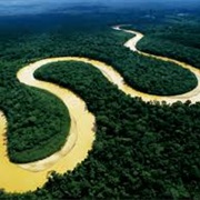 Madre De Dios River
