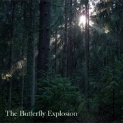 The Butterfly Explosion – Vision