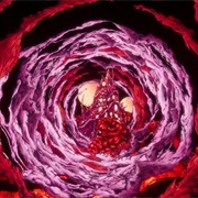 Blut Aus Nord - Haallucinahlia