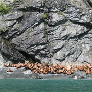 Jack Bay State Marine Park