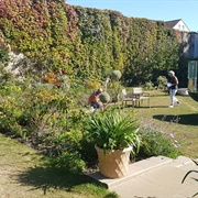 Kemptown Secret Garden