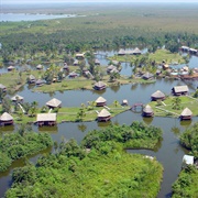 Ciénaga De Zapata Biosphere Reserve, Cuba